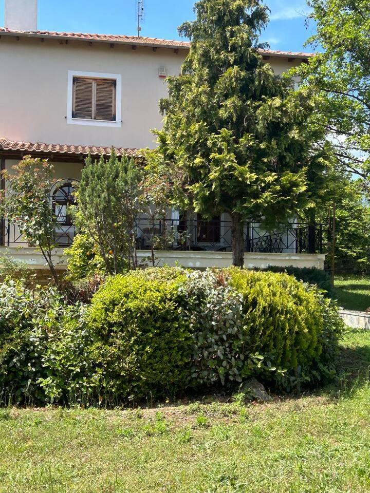 Zeusplace Karia Villa Natura レプトカリヤ エクステリア 写真
